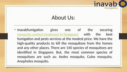 Find the Mosquito Control Treatment in Singapore
