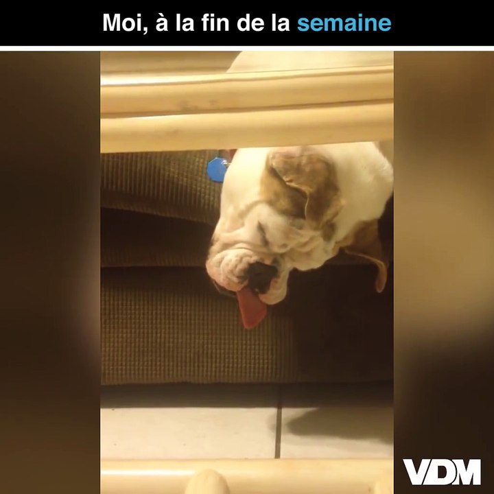 C'est l'effet du vendredi soir... tout en douceur !