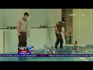 Penelitian Bahasa Lumba   lumba NET 24