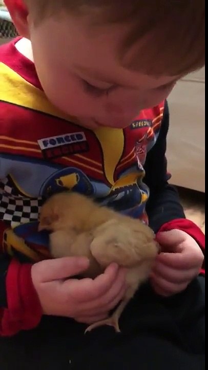 Ce bébé chante pour endormir son poussin ! Trop mignon...