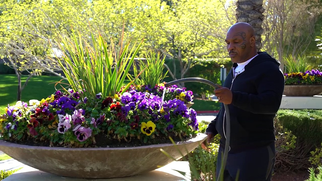 Crazy Neighbor _ Mike Tyson & Anwar Jibawi