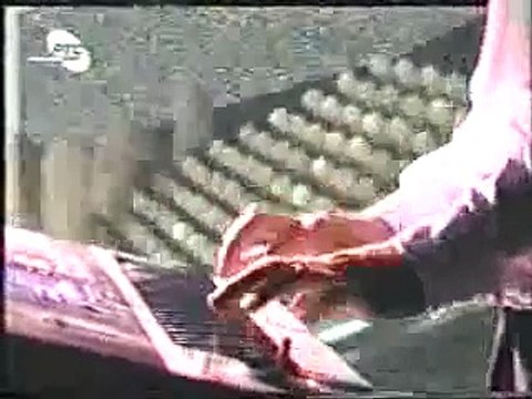 Nino - Da li veruješ - Video by: * Nada Zuber *