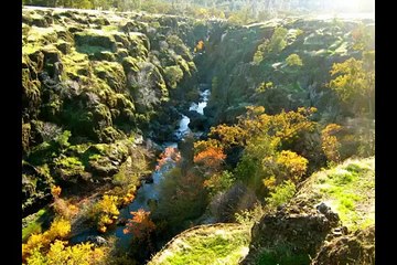 Immediate Need Chiropractic Associate to Ownership Opportunity Near Chico CA