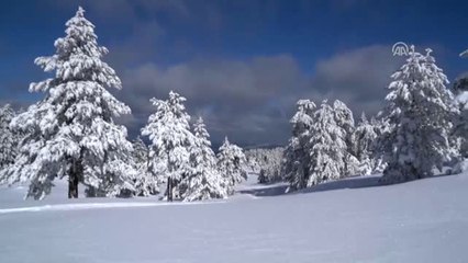 Doğa Tutkunlarının Yeni Gözdesi Murat Dağı