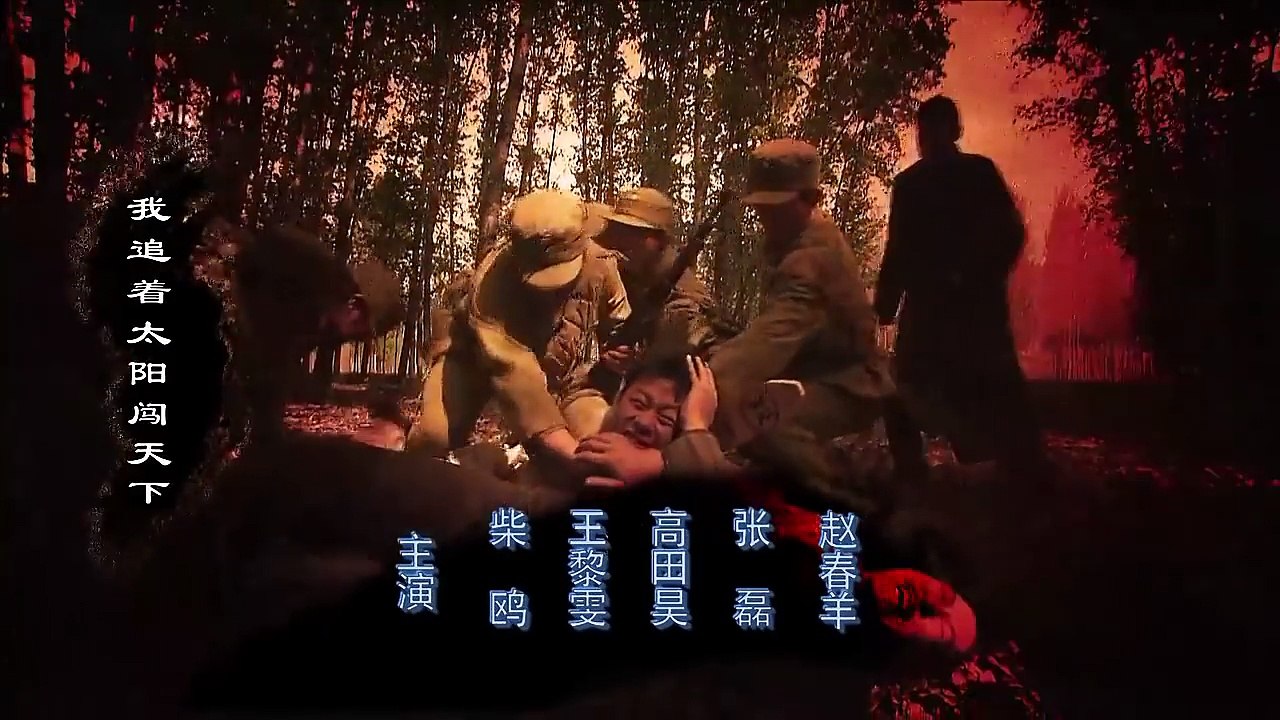 年代剧《大道向远方》06主演  张嘉译 张延 张磊 高田昊 王黎雯