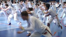 Reportage - Un Mestre de Capoeira à Voiron