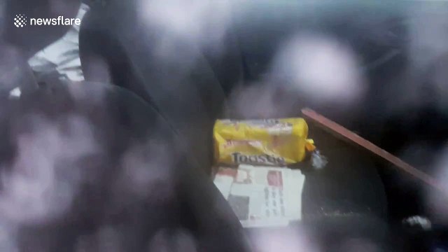 Ireland's Storm Emma blizzard conditions revealed