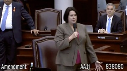 Only 'thoughts and prayers' stop evil school shooters - Florida State Senator