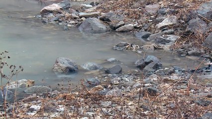 가뭄 끝 단비는 내렸지만..."해갈에는 턱없이 부족" / YTN