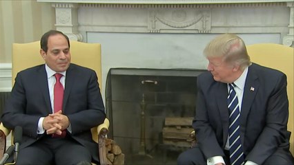 ترمب والسيسي يتعهدان بإنهاء الأزمة الإنسانية في سوريا