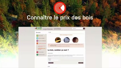 Le 1/4 d'heure des experts - La Forêt Bouge