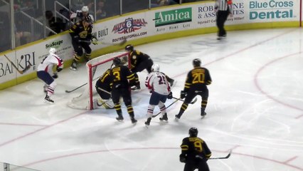 AHL Springfield Thunderbirds 2 at Providence Bruins 0