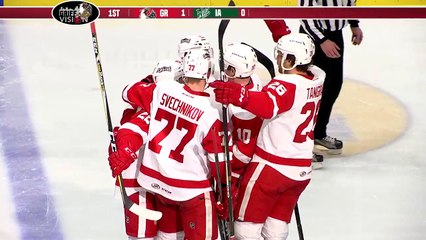AHL Iowa Wild 2 at Grand Rapids Griffins 3