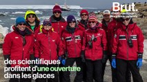 Des super-colonies de manchots Adélie viennent d’être découvertes dans l’Antarctique