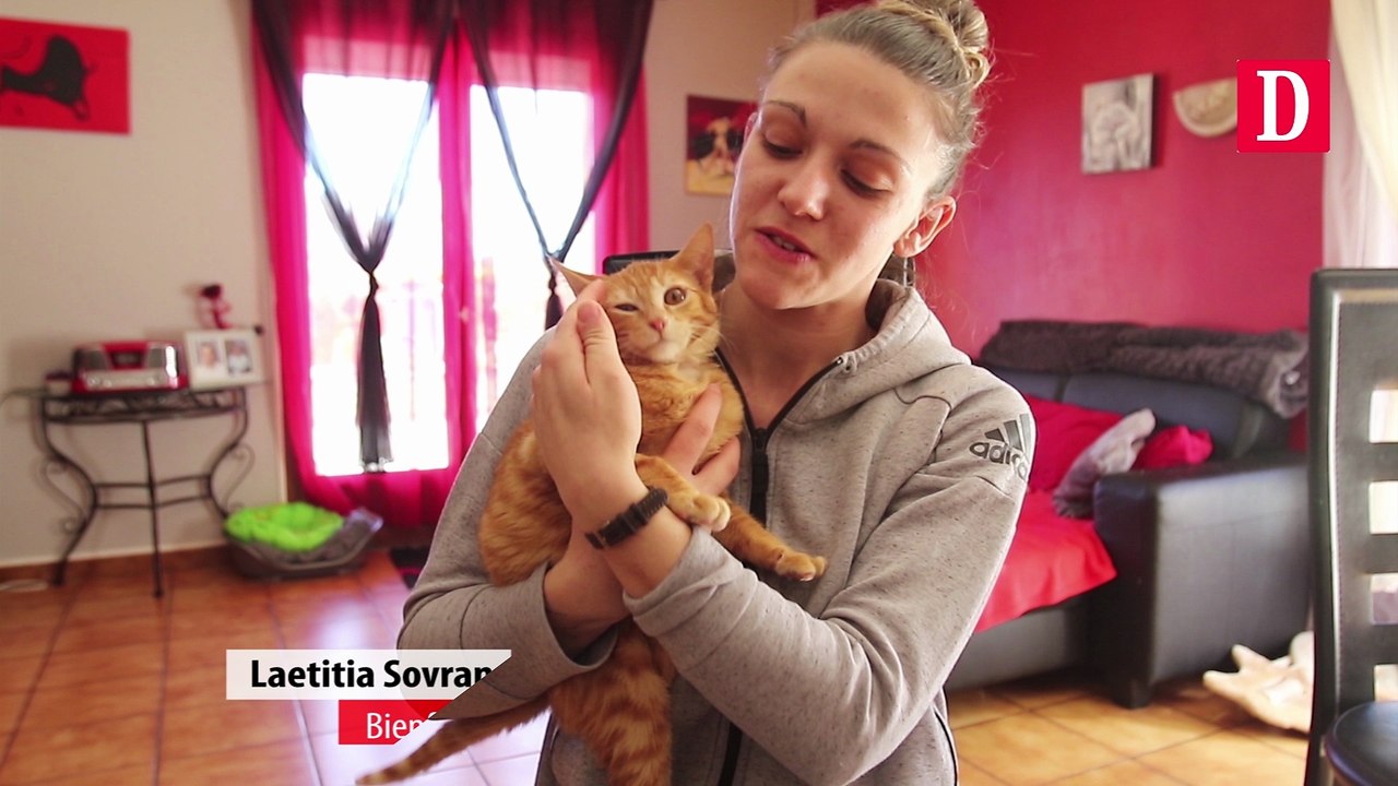 Une cagnotte pour sauver le chaton Nioky