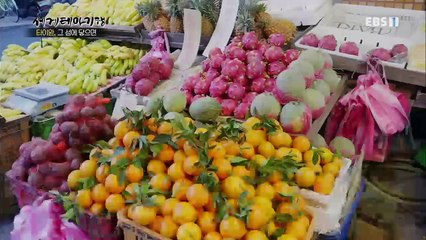 세계테마기행 - 타이완, 그 섬에 닿으면 3부- 역사를 품은 도시 타이난_#001