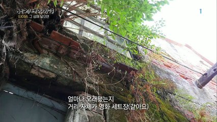 세계테마기행 - 타이완, 그 섬에 닿으면 3부- 역사를 품은 도시 타이난_#002