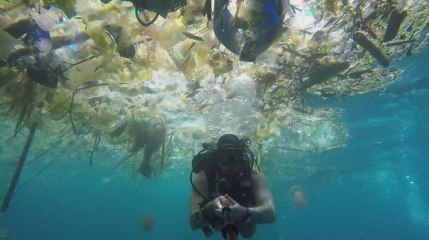 2 minutes angoissantes dans un mer polluée par le plastique à Bali