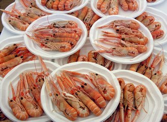 La gota desde el punto de vista traumatológico