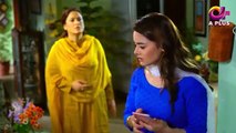 Dil Nawaz Last Episode 26