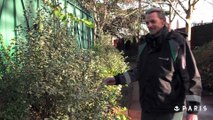 Paris leur dit merci : Sylvain, jardinier à la Ville