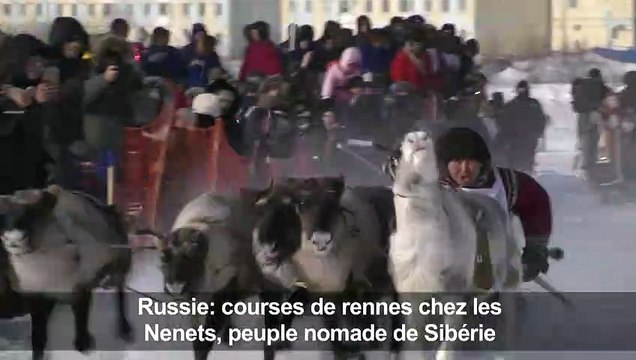 Les nomades nenets s'affrontent dans des courses de rennes