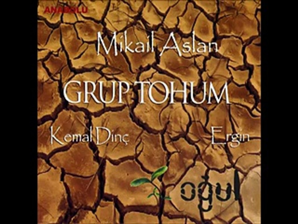 Grup Tohum (Mikail Aslan , Kemal Dinç , Ergin)   Taşa Verdim