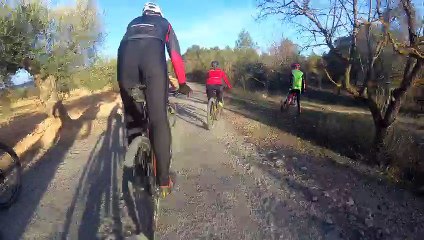 Sender del barranc dels Plans (Garcia)