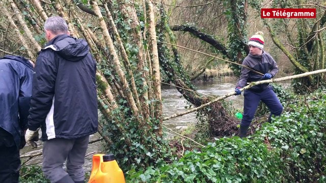 Ergué-Gaberic (29). Opération débroussaillage des rives de l'Odet