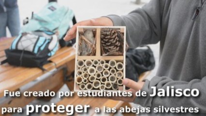 Un "hotel" para abejas con sello mexicano