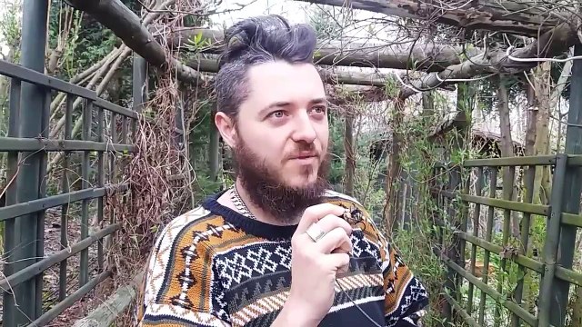 35. Krwiowiec Kanadyjski Sanguinaria canadensis wasciwosci