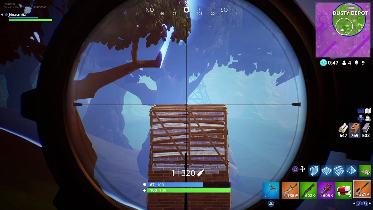 Nice snipe