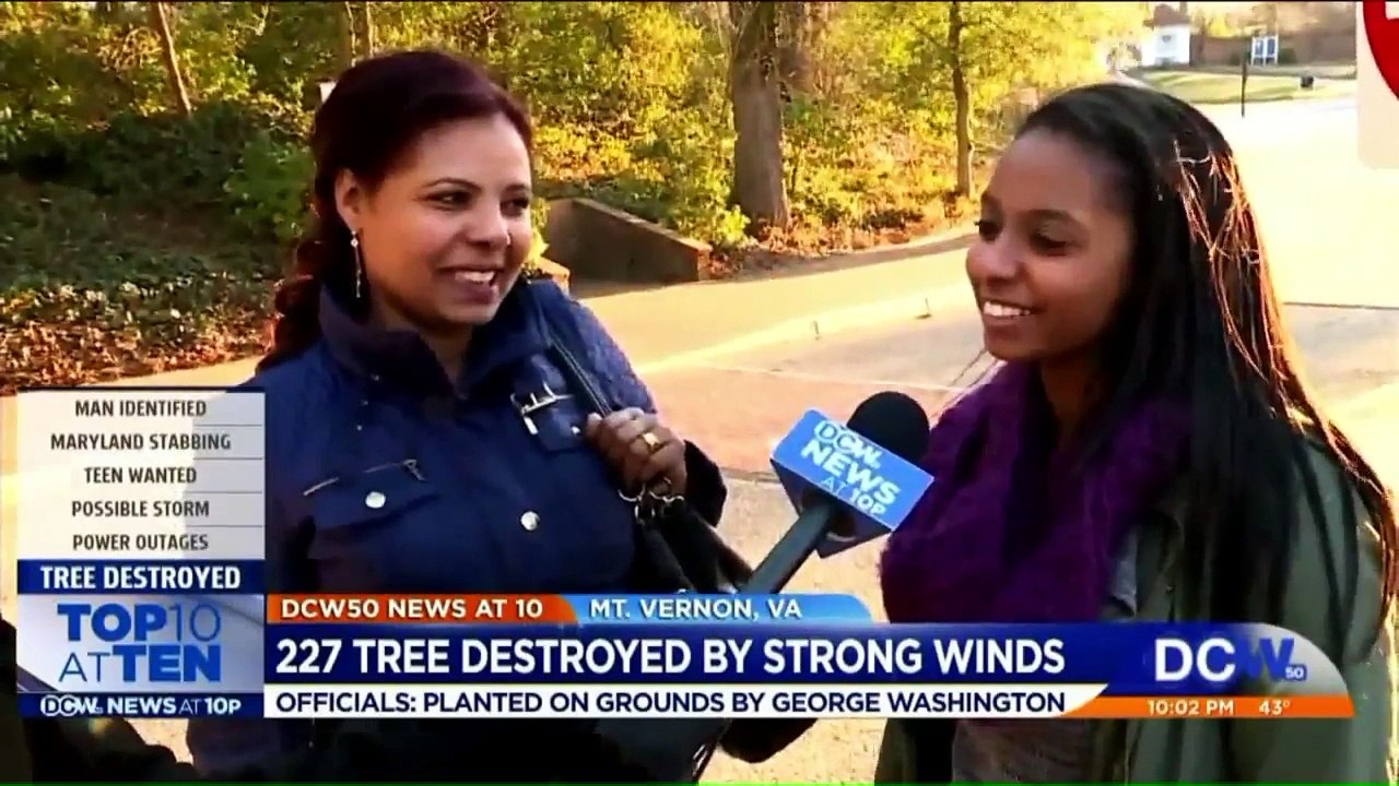 Heavy Winds Knock Over 227-Year-Old Tree Planted by George Washington