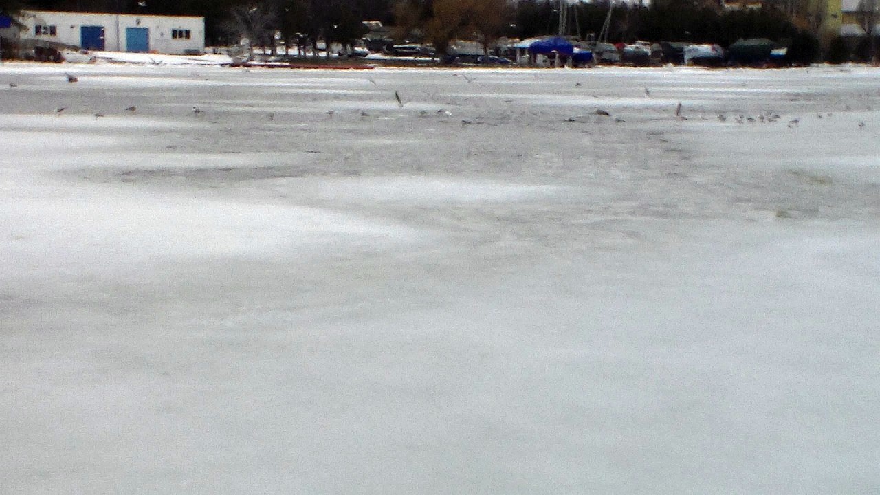Siutghiol Lake