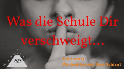 Was die Schule Dir verschweigt - Teil 7 von 11: Wie funktioniert Dein Gehirn?