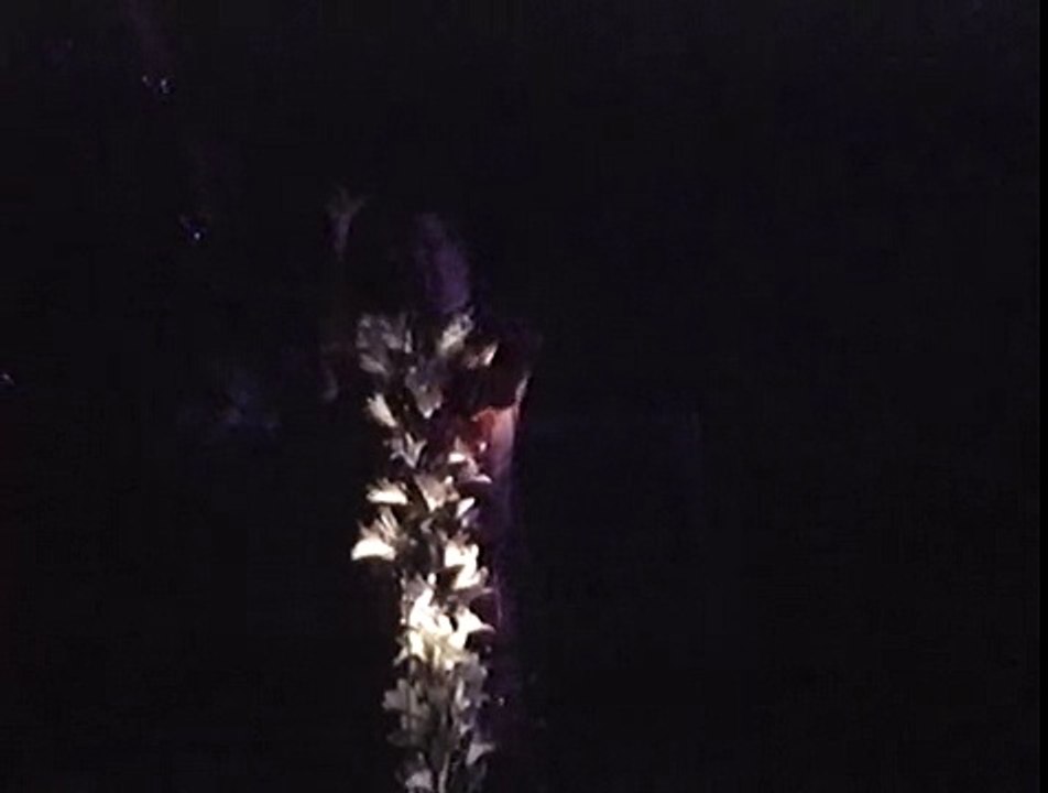 Marilyn Manson - Man That You Fear [Live in Santa Monica 1997]