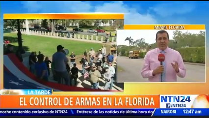 Senado de Florida debate histórico proyecto de ley sobre el control de armas de fuego