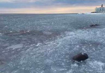 Video Captures Slush Ice Waves on Lake Superior