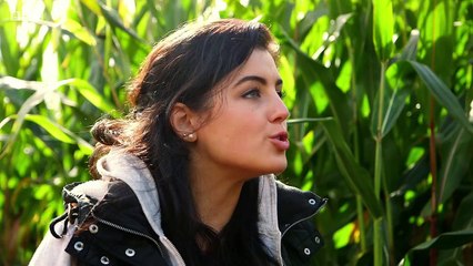 Down on the Farm.s03e14.Quad Bikes and Maze