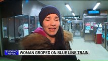 Woman Sexually Assaulted on Chicago Train