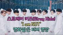 본격 데뷔 스트레이 키즈(Stray Kiz) 'I am NOT' 영화 같은 티저 영상