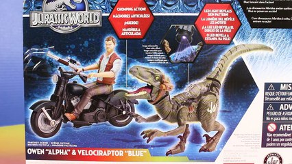 Jurassic World Velociraptor Dinosaur Delta Echo And Owen The Alpha