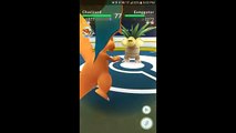 Pokémon GO Gym Battles Level 8 Gym Graveler Tangela Snorlax Starmie Gengar Beedrill & more