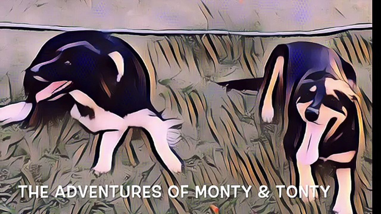 Kids Hypnosis - Monty and Tonty Bedtime Story - Doggy Fun at The Beach for Sleep