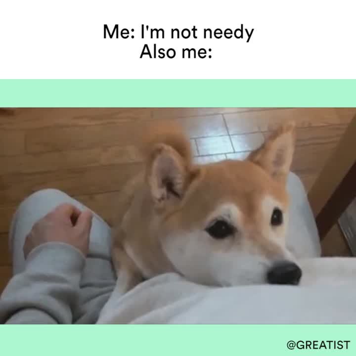 Needy