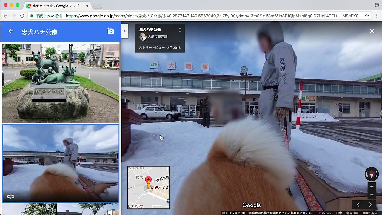 Akita Inu - “Dog View” from Akita-ken, home of Japan’s adorable Akita dogs