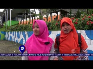 Wisata Kampung Sapi Adventure  NET 10