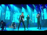 Dalmatian - E.R, 달마시안 - 이알, Music Core 20120630