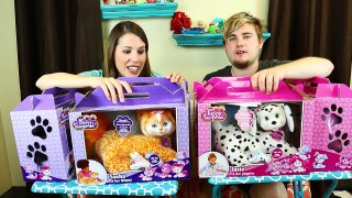 Puppy vs Kitty Challenge! Who can get the most Cats & Dogs Game