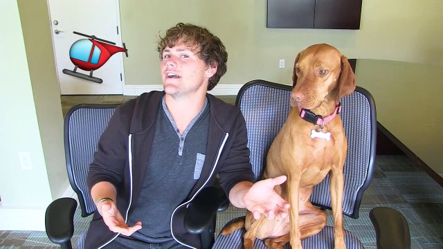 Got Stuck On The Worlds Longest Zipline